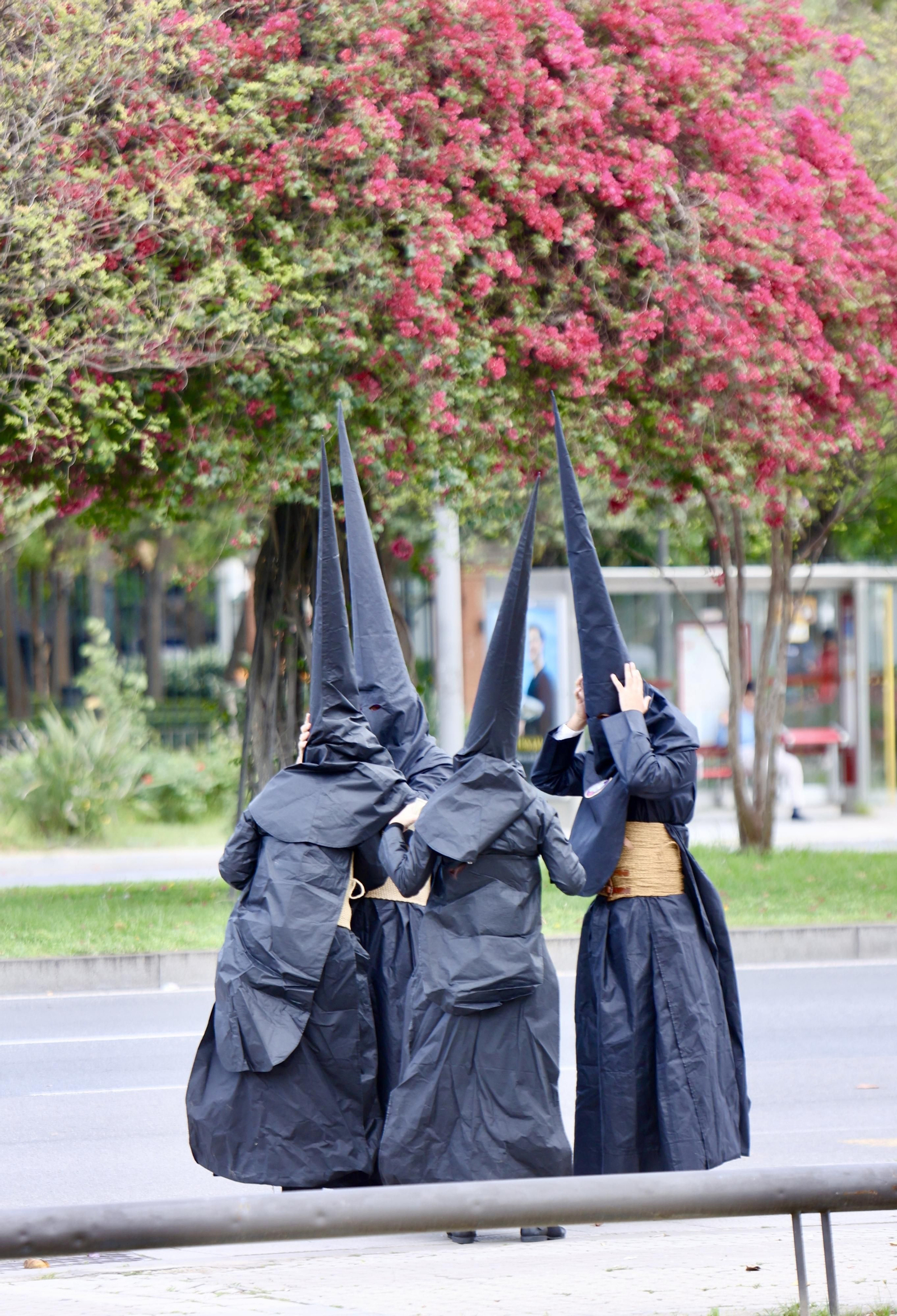 Las imágenes de la Hermandad de Los Estudiantes en la Semana Santa de Sevilla 2024