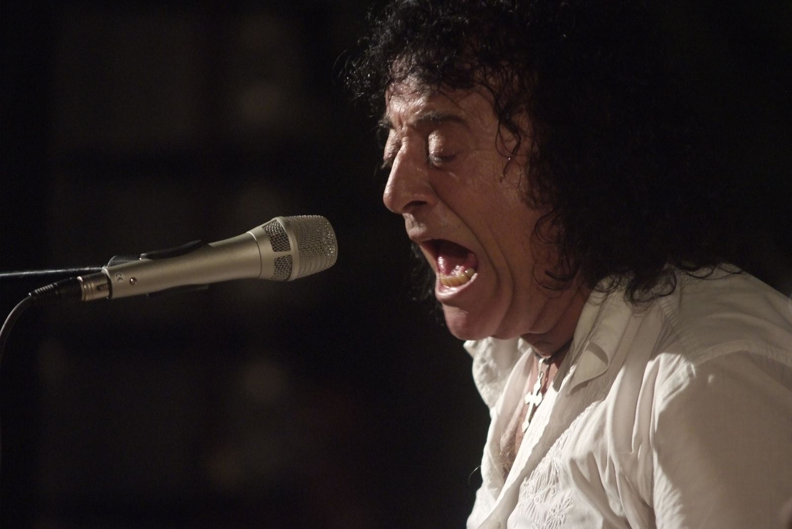 Alejandro Segovia Camacho, Canela de San Roque, al cante en 2009.