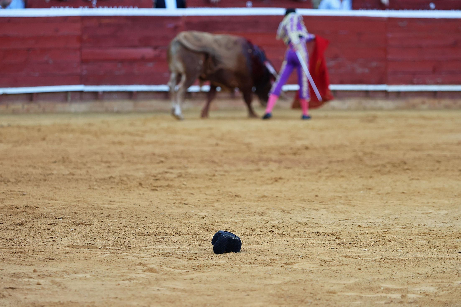Toros La Merced 2024 Novillada con picadores(