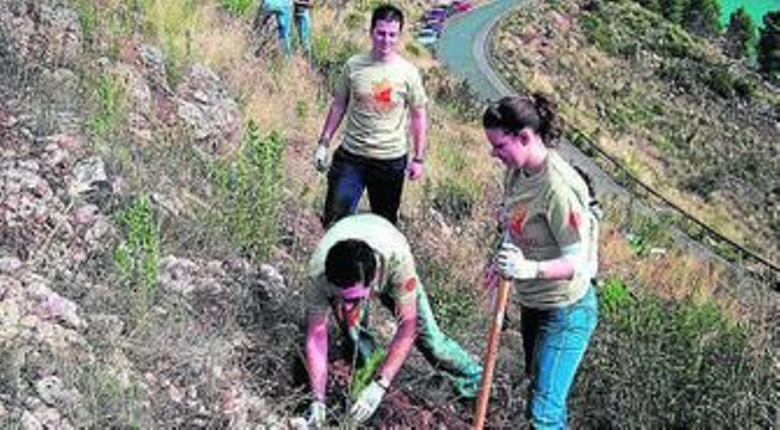 Voluntarios trabajan para la repoblación del monte.
