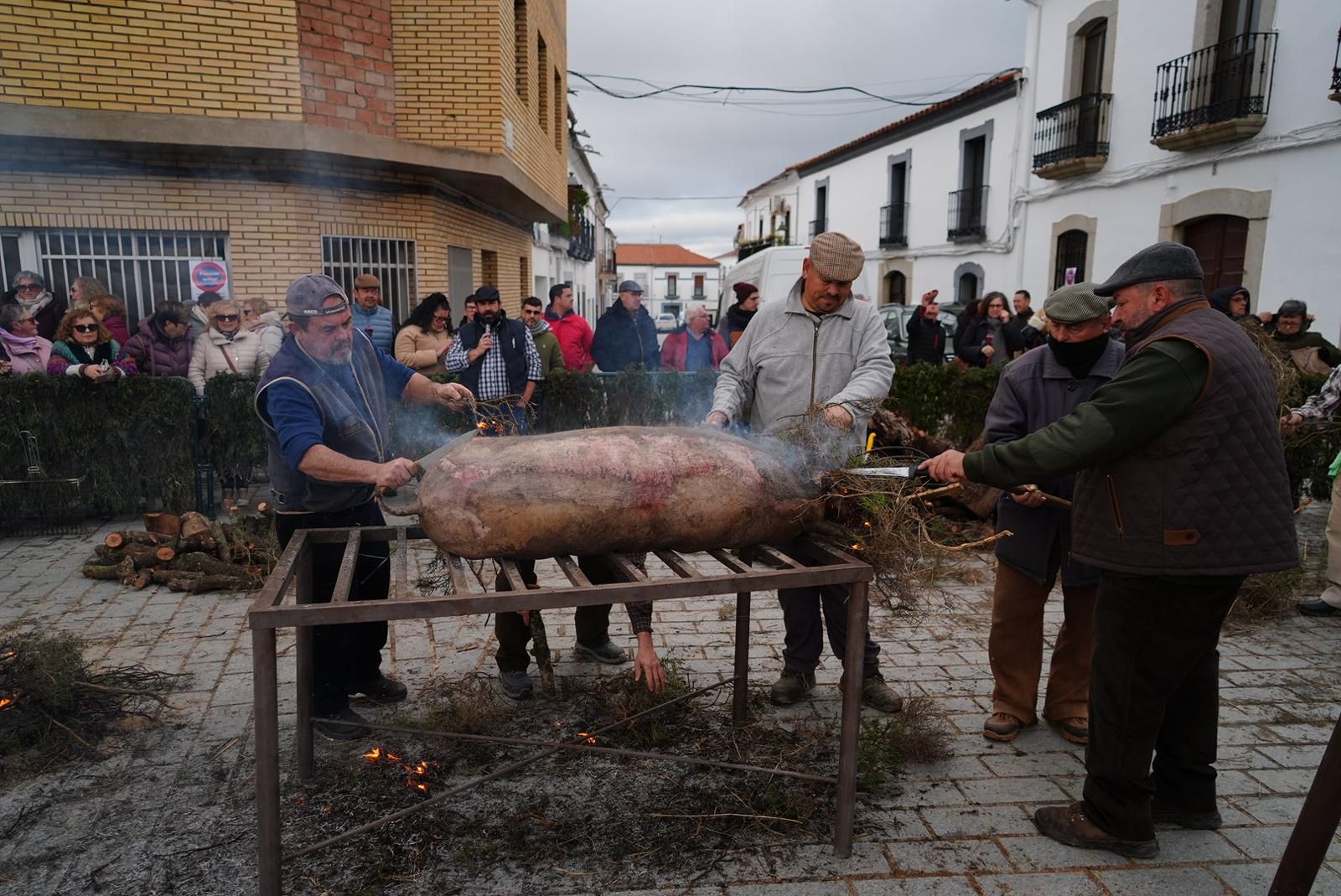 XX Fiesta de la Matanza de Alcaracejos