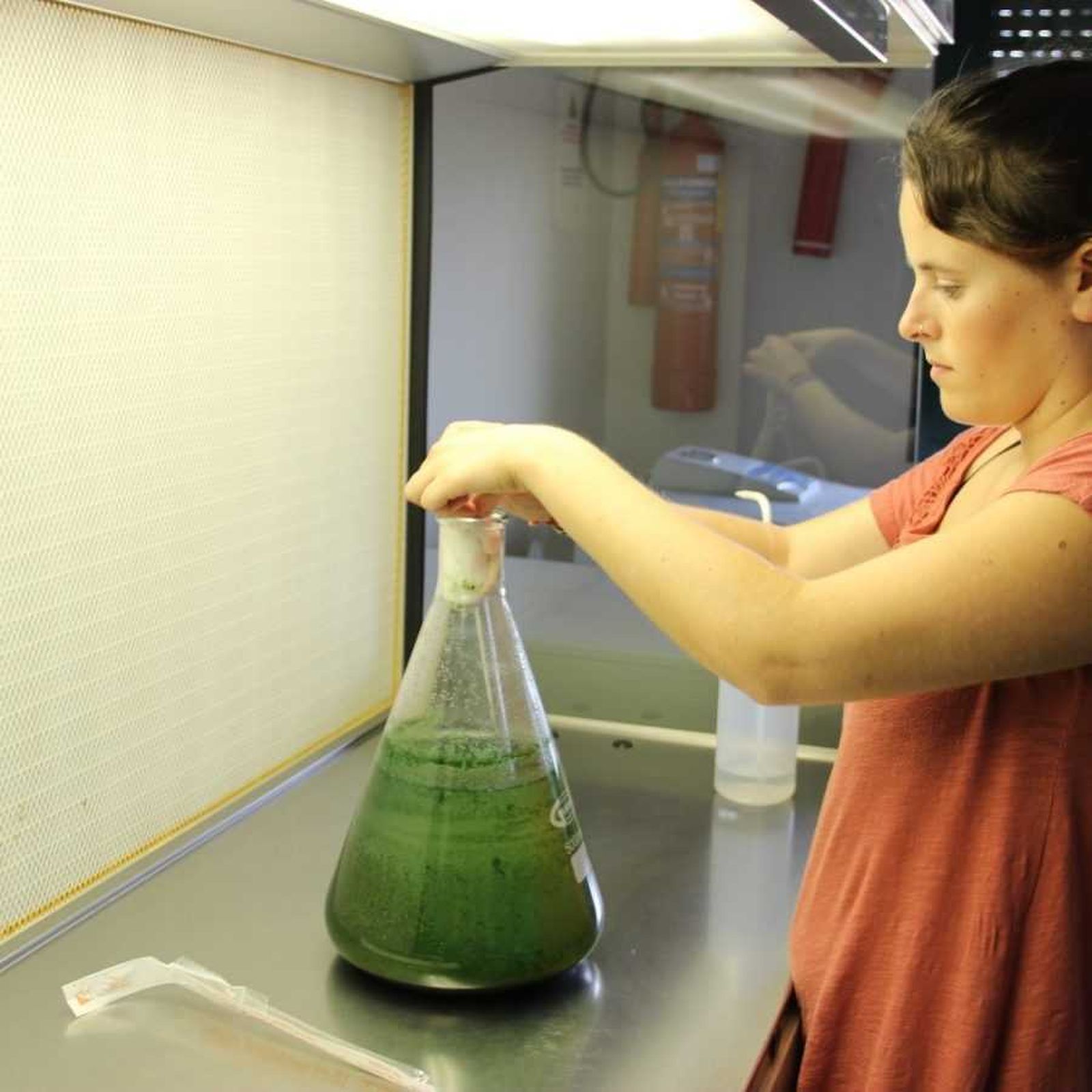 n Beatriz Roncero Ramos forma parte del grupo investigador RMN-188. Desertificación y Geoecología de la UAL.