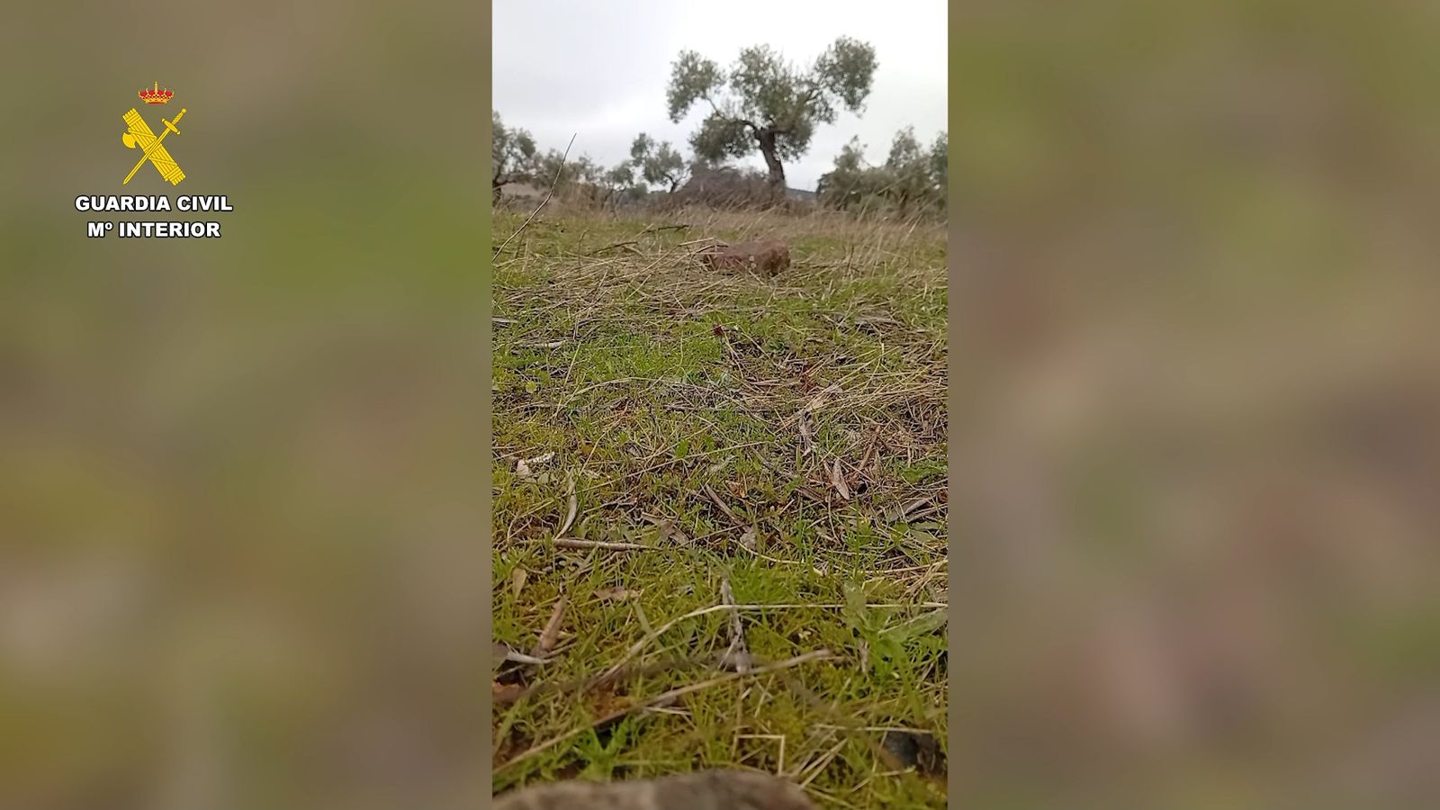 La Guardia Civil detona dos proyectiles de la II Guerra Mundial hallados en una finca de Peñarroya-Pueblonuevo