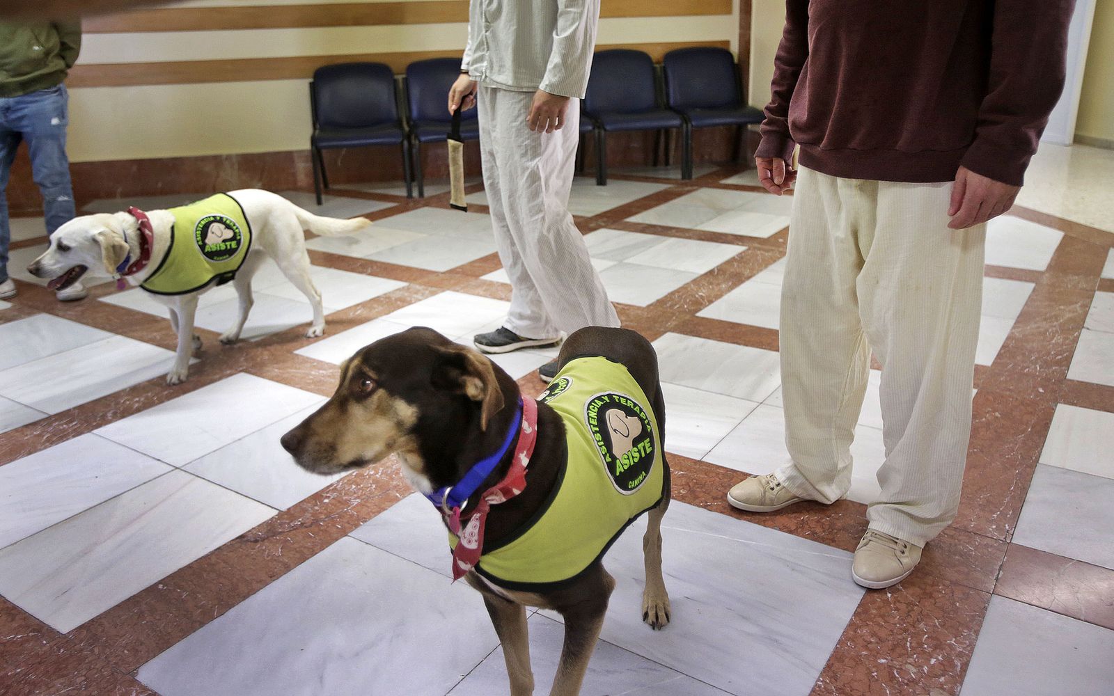 Unidad psiquiátrica del Clinico de Puerto Real