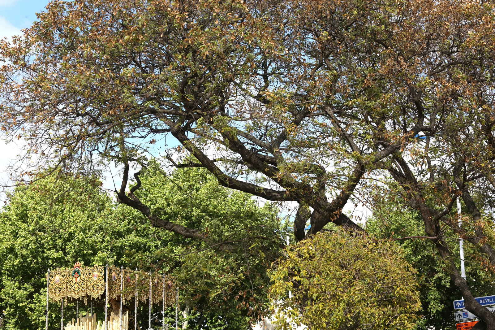 Imágenes de las Tres Caídas en el Lunes Santo 2019