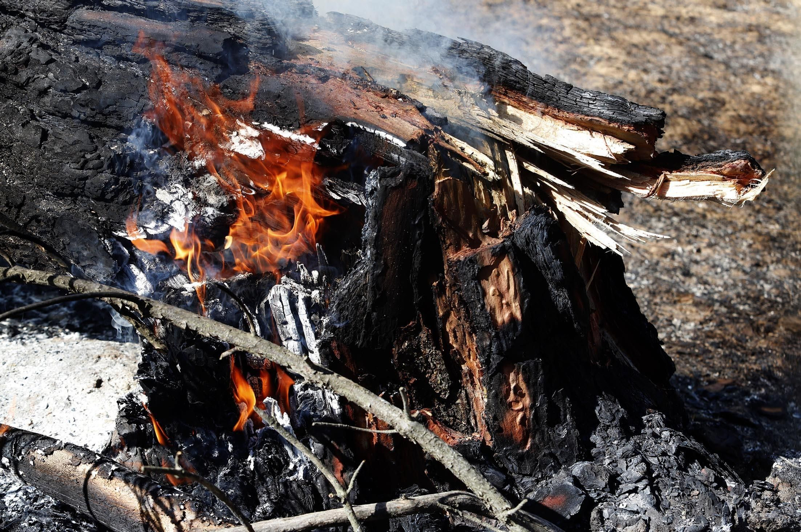 Imágenes de las zonas afectadas por los incendios de Almonte y Bonares