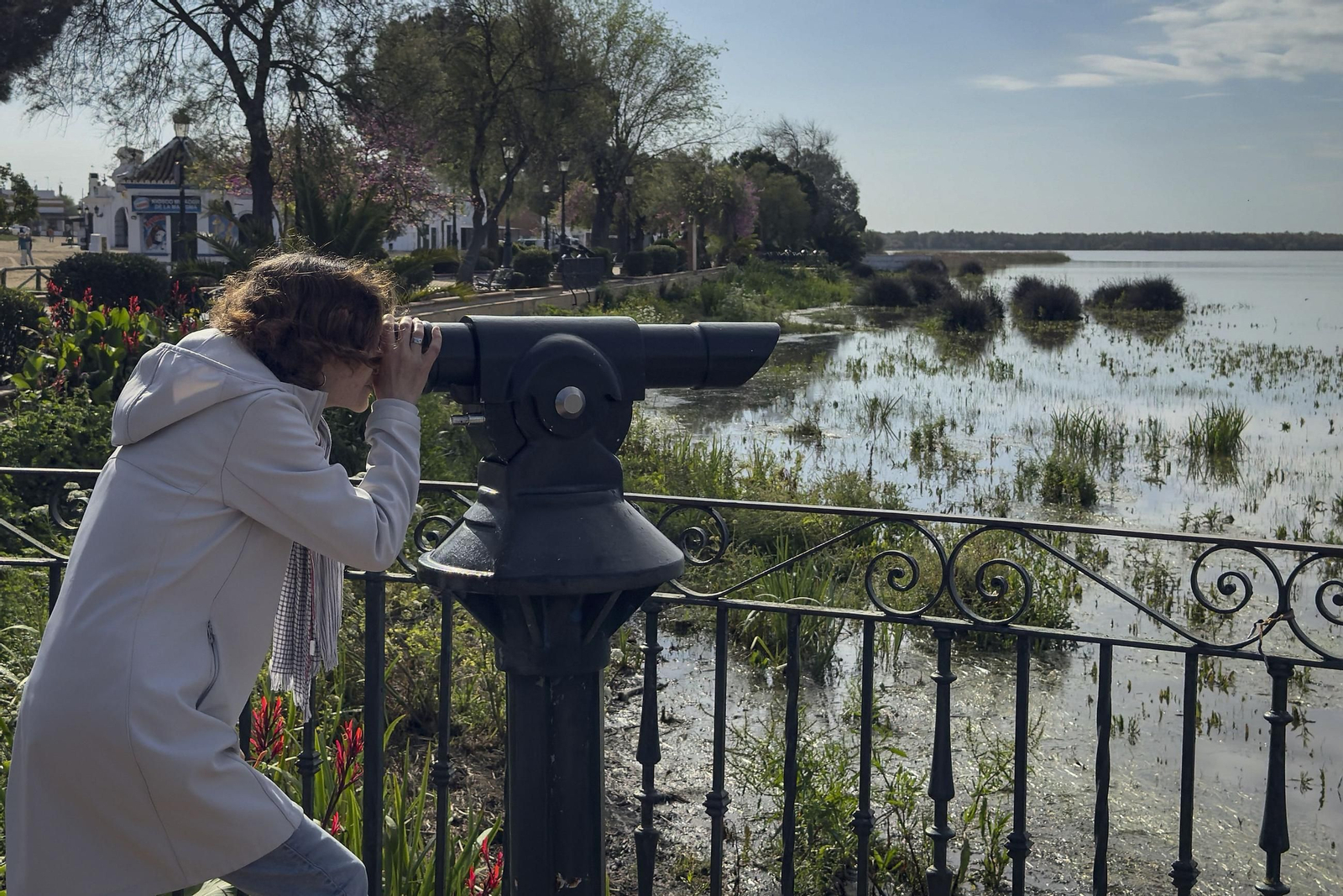 El espectacular brillo de Doñana en primavera: más de 39.000 hectáreas de marisma, inundadas tras las lluvias