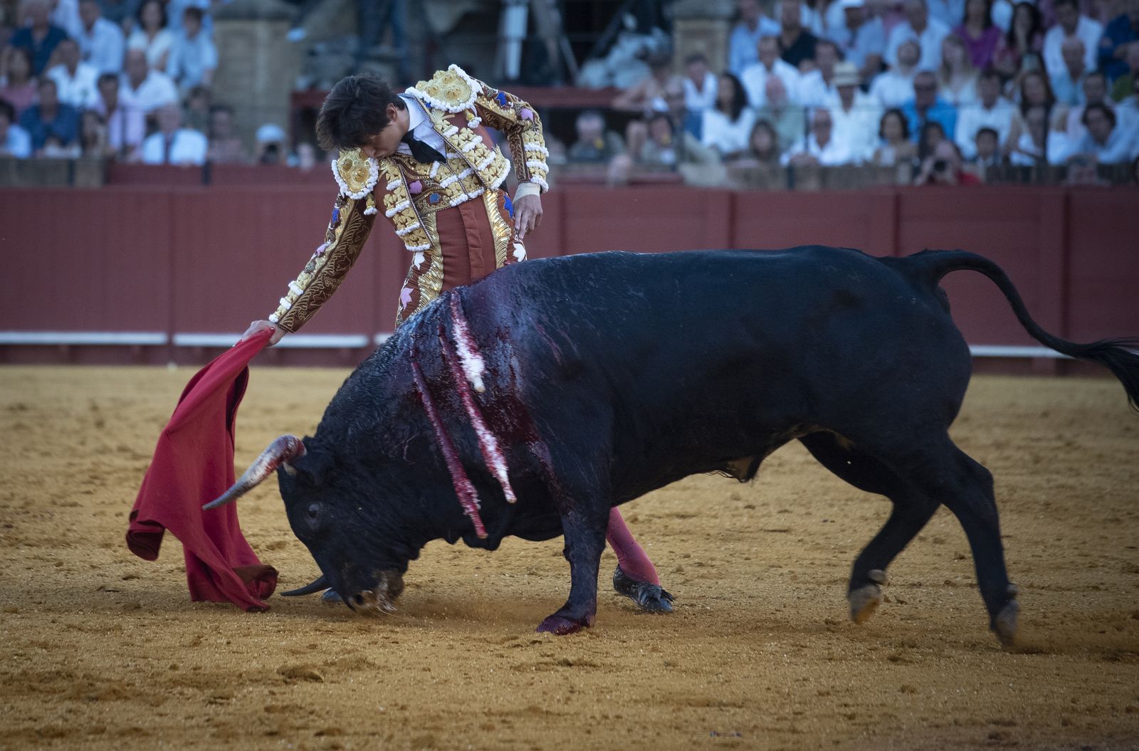 Las imágenes de la segunda corrida de la Feria de San Miguel