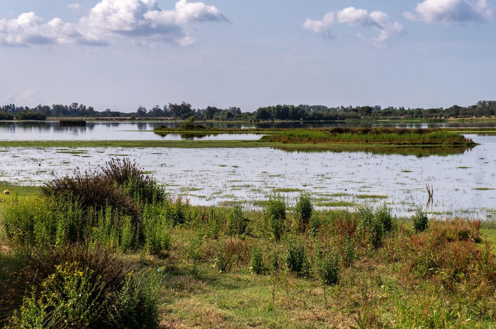 Acuífero de Doñana, en una imagen de archivo.