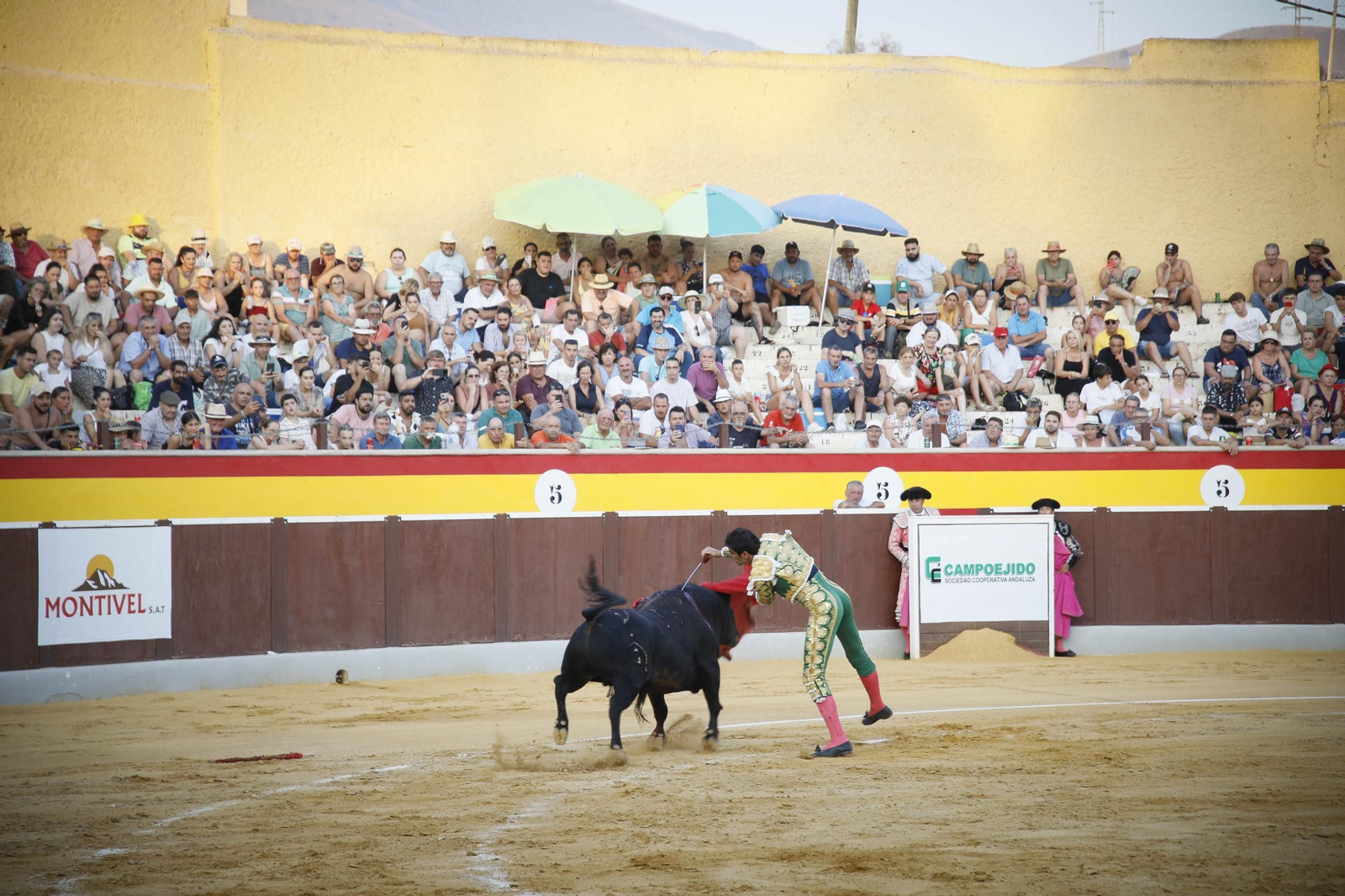 Corrida de toros Berja con un toro indultado, en imágenes
