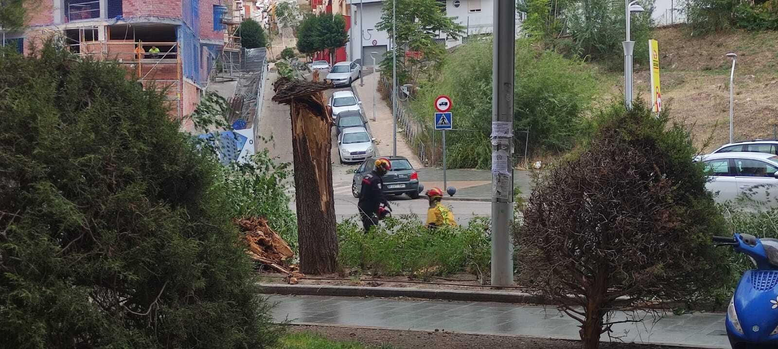 La Borrasca Aline a su paso por Jaén, en imágenes
