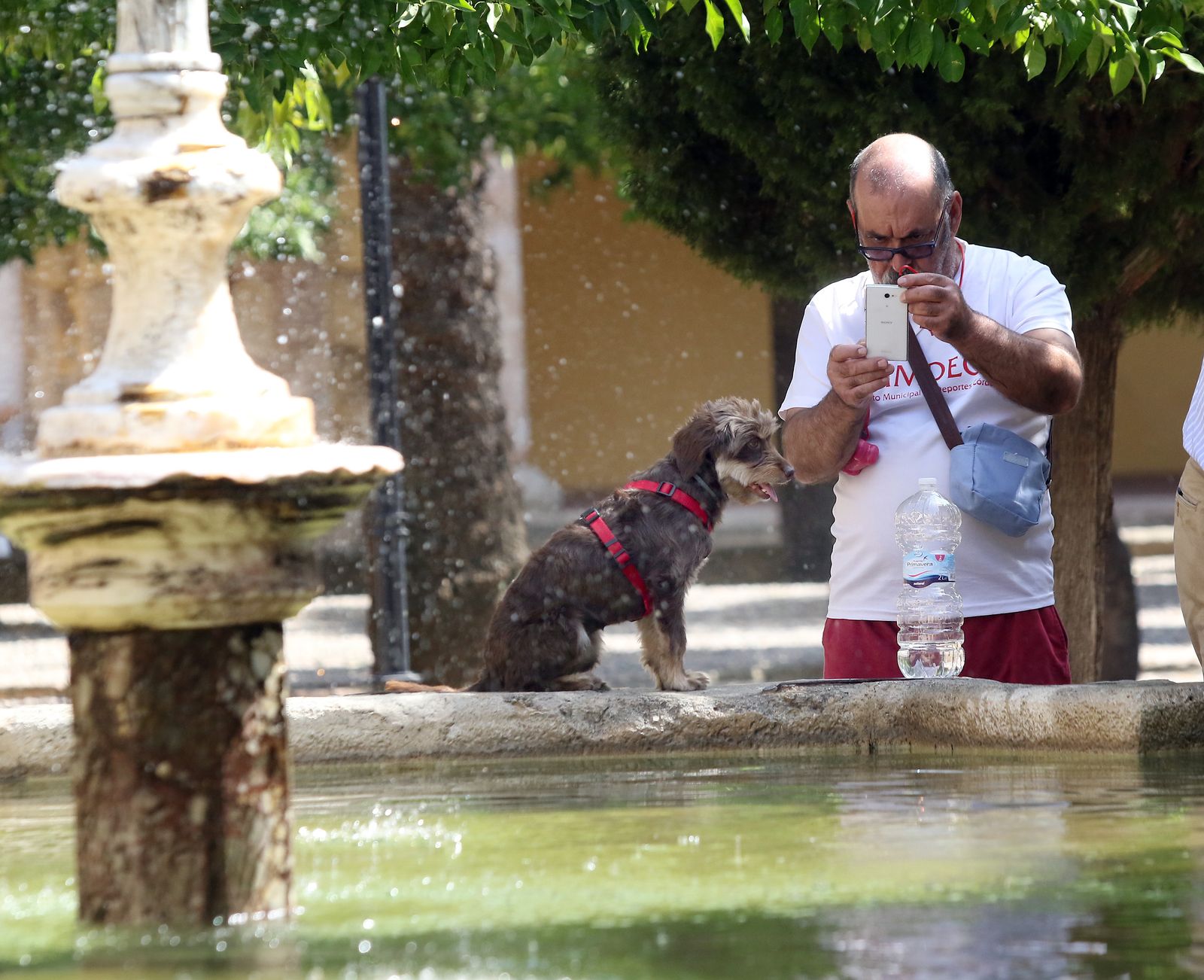 Un hombre toma una foto de su perro en una de las fuentes de la Mezquita-Catedral de Córdoba.
