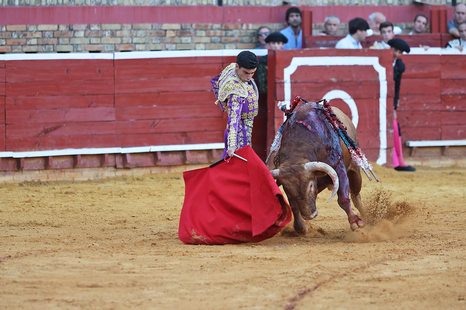 Toros La Merced 2024 Novillada con picadores(