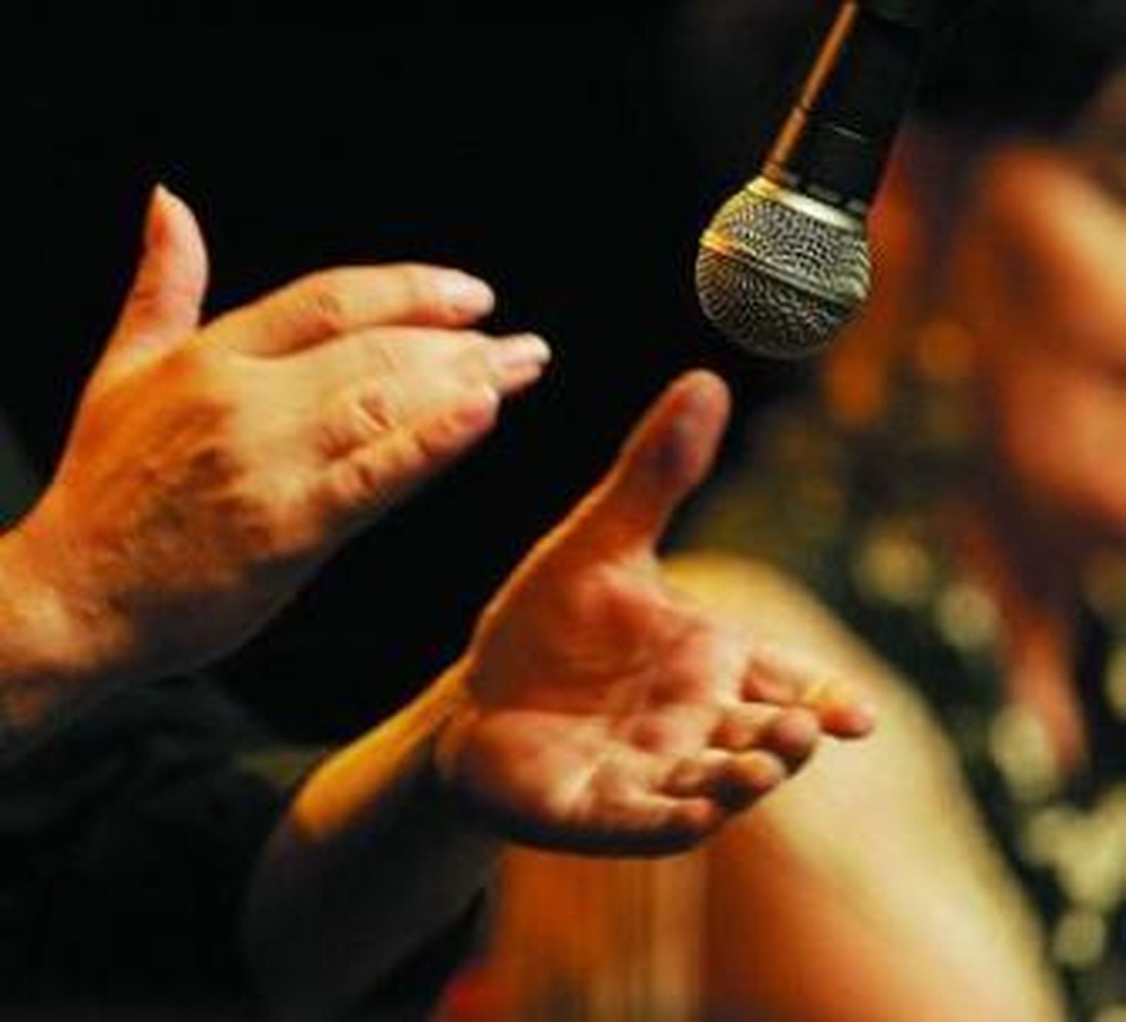 Una noche inolvidable del más puro arte flamenco