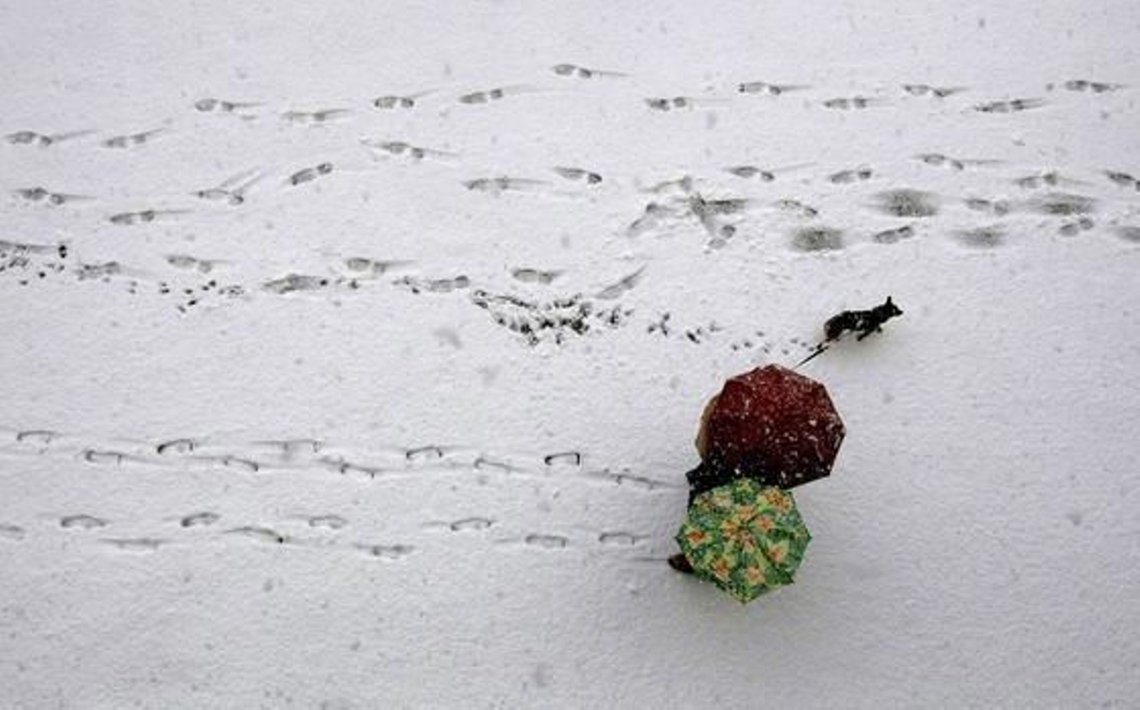 Una intensa nevada cubre Barcelona y a casi toda Cataluña. /EFE · AFP Photo · Reuters
