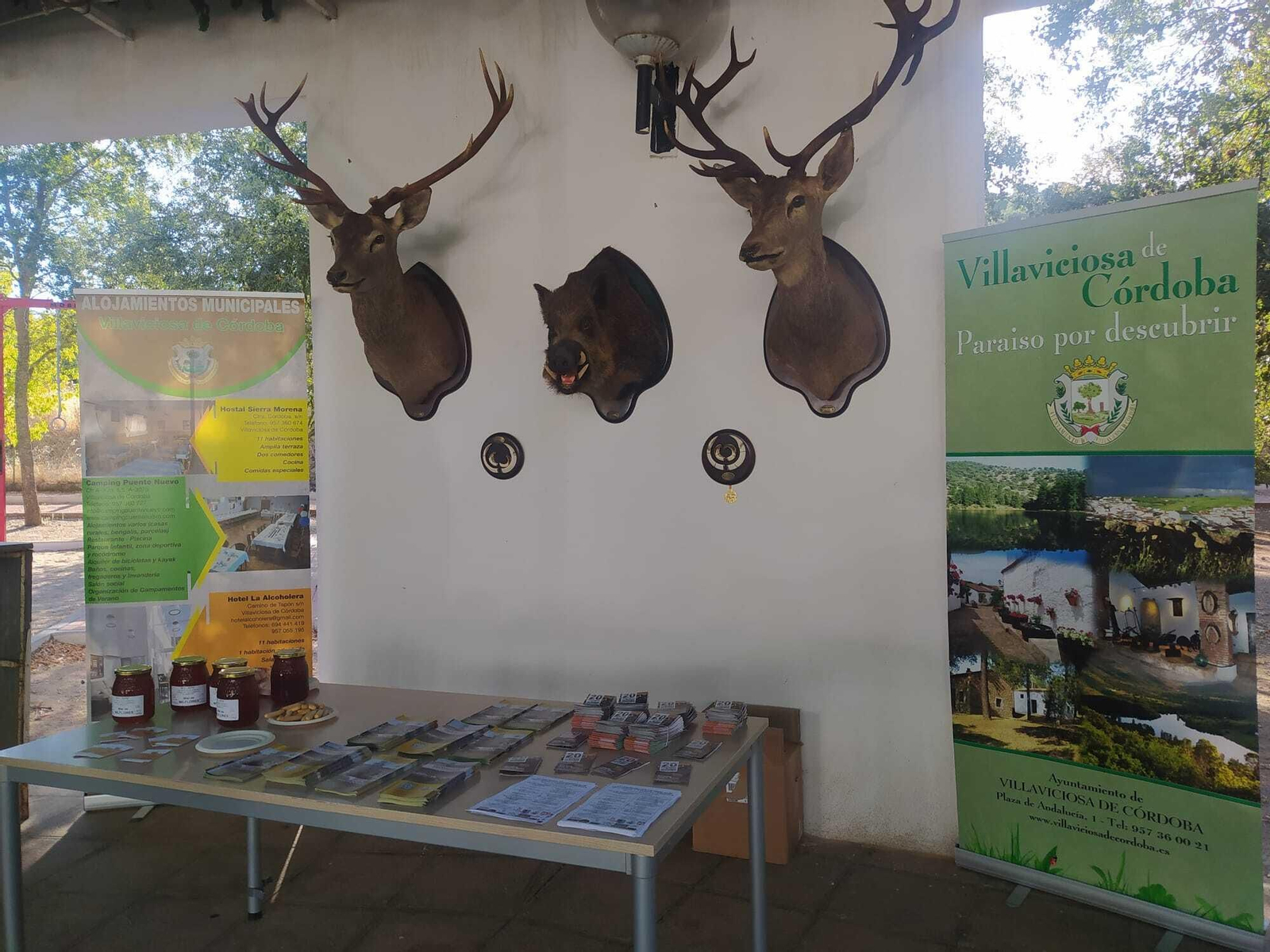 La XX concentración de rehalas de Villaviciosa de Córdoba, en imágenes