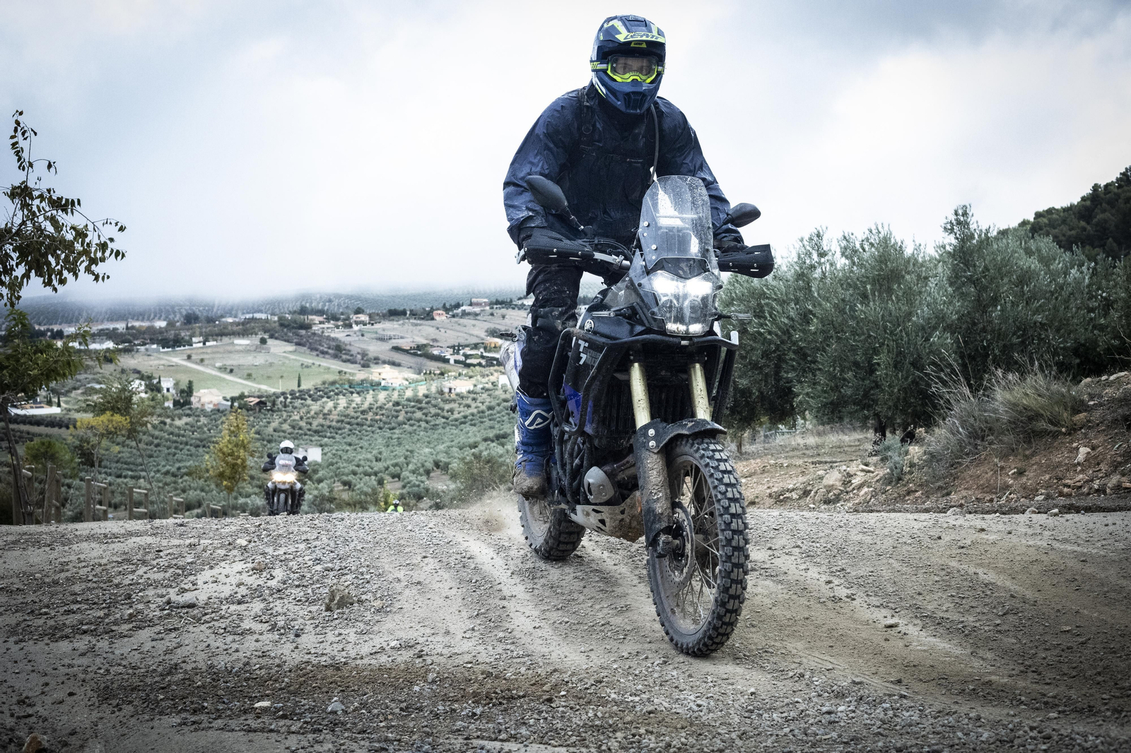 ¿Estuviste en la tercera edición de la ruta Olivobook? Búscate