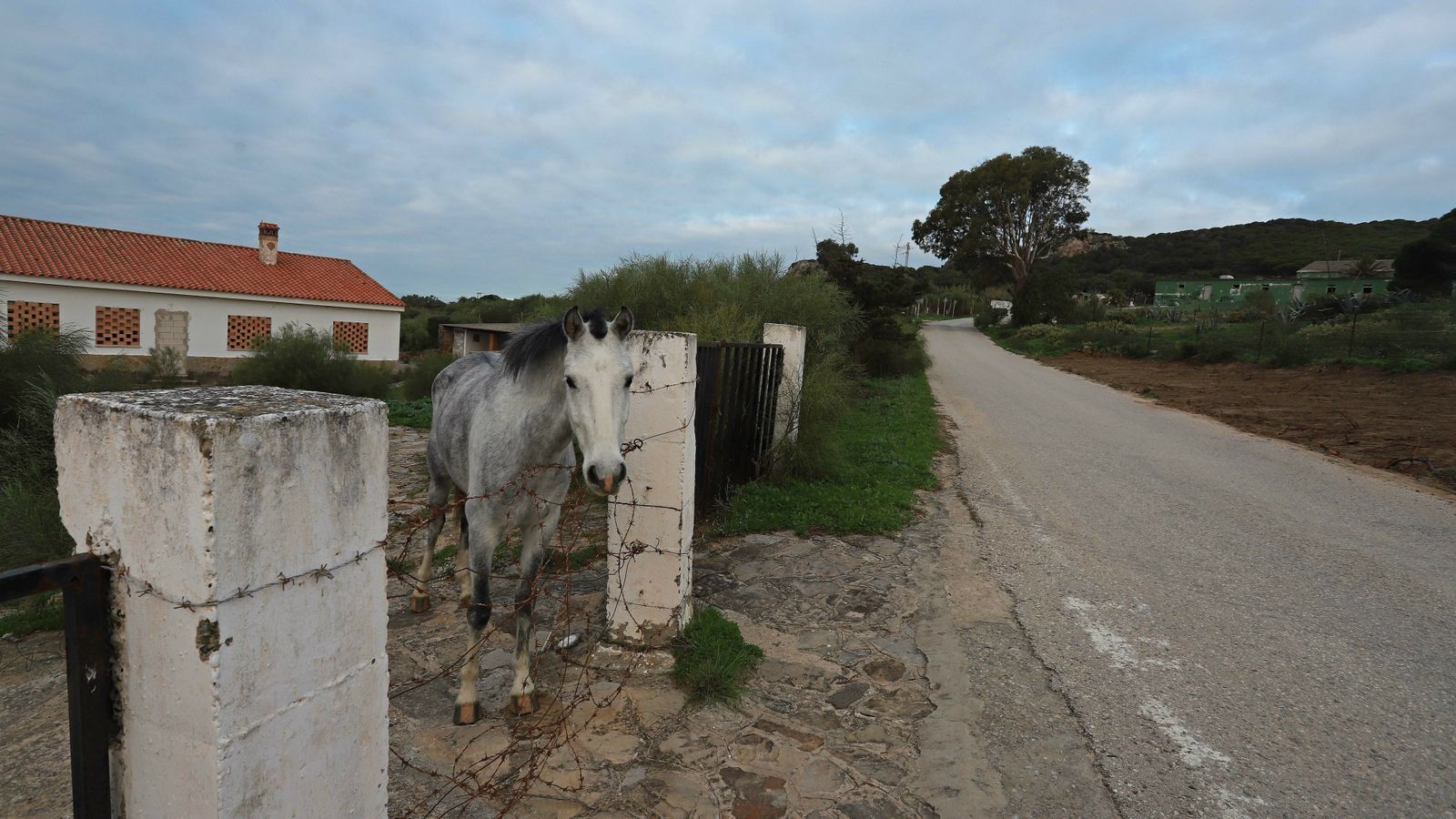 Las mejores fotos de Paloma Baja