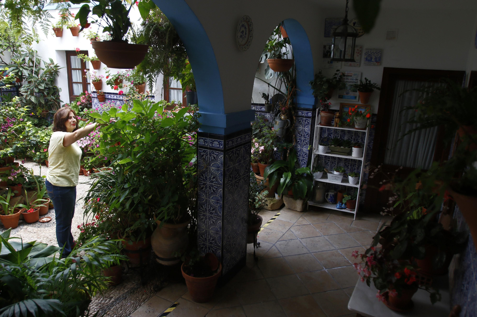 Los Patios de Córdoba en tiempos de crisis: Pedro Fernández, 6