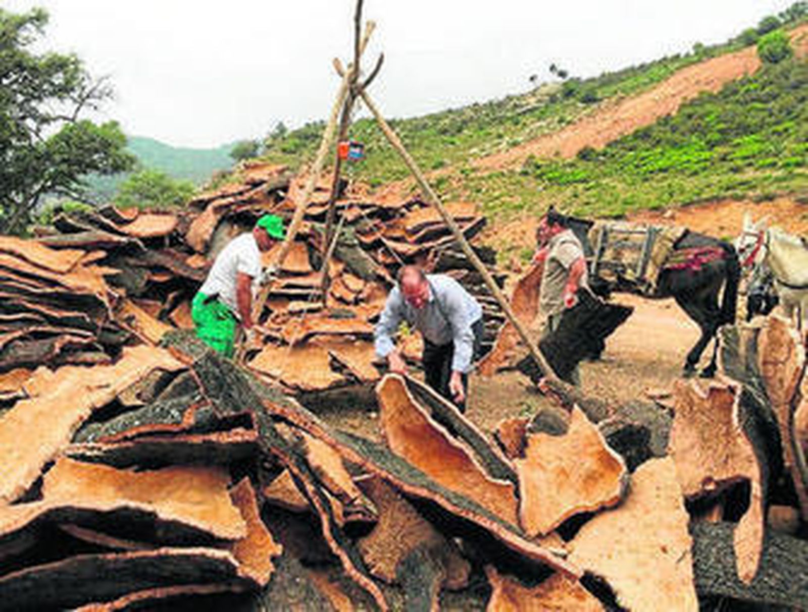 Romero ayuda a cargar placas de corcho en la báscula.
