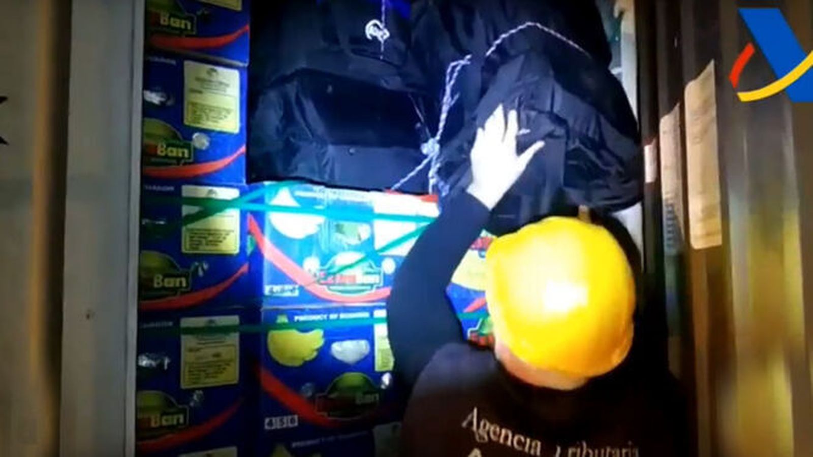 Un agente de Aduanas saca un alijo de cocaína oculto en un contenedor de plátanos llegado al Puerto de Algeciras.