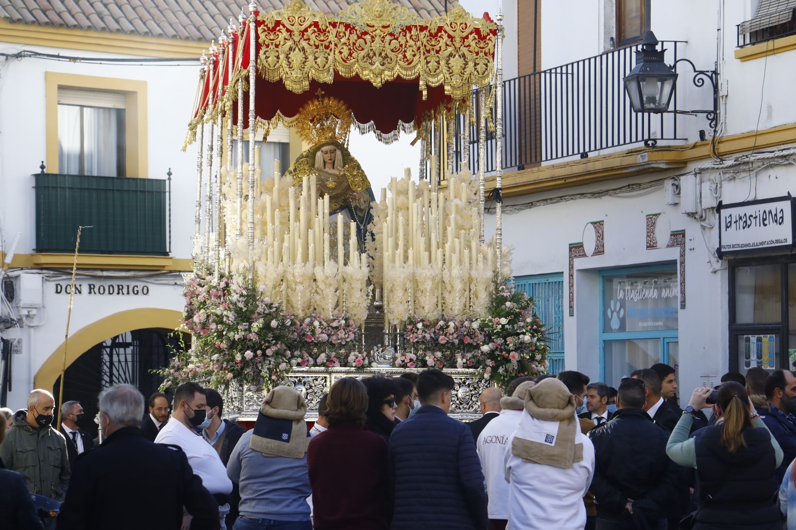 La procesión extraordinaria de la Virgen de la Salud de Córdoba, en imágenes