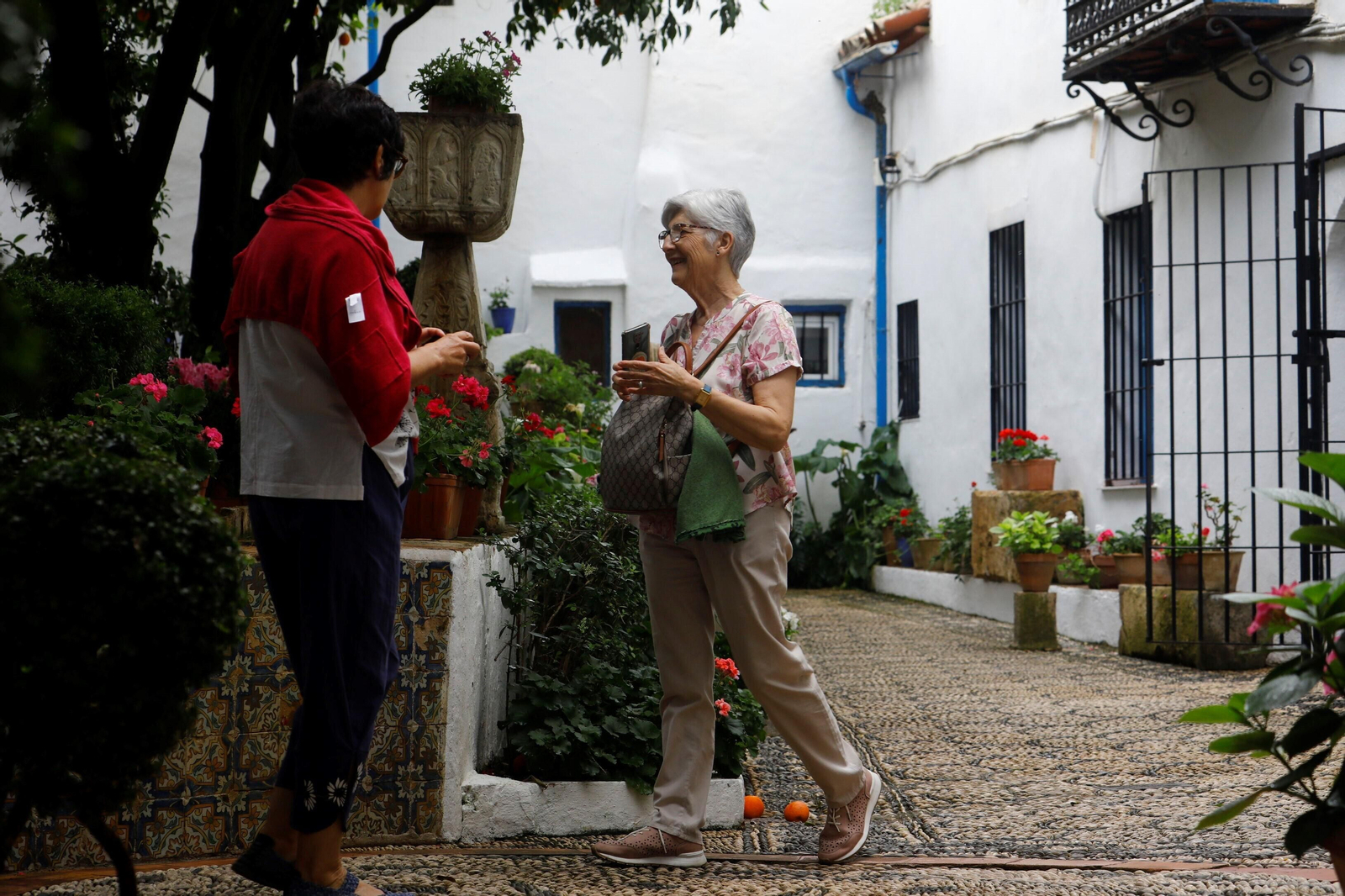 Los patios de Córdoba de la ruta Judería-San Francisco, en imágenes