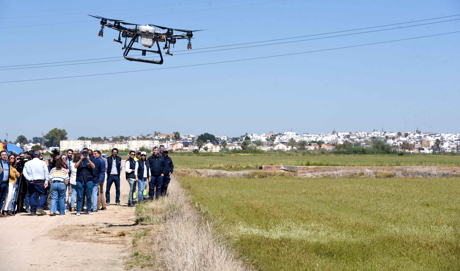 Control de larvas por el Virus del Nilo en la marisma de La Puebla del Río