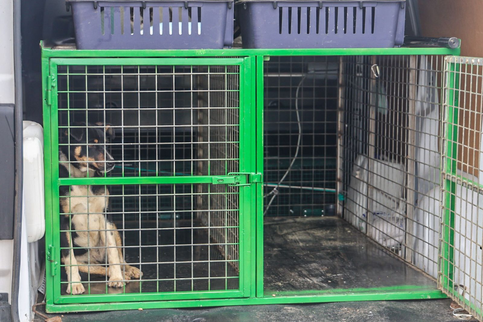 Fotografías del desalojo de familias y animales en Peguerillas por la borrasca Leonardo