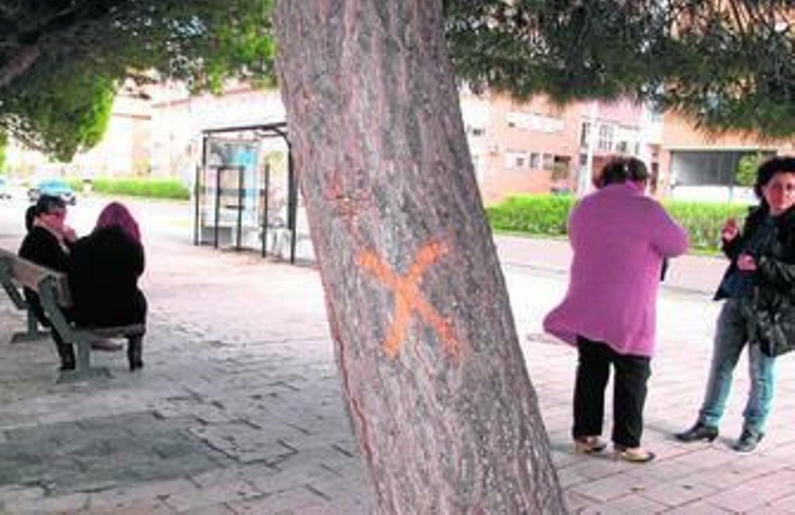 Vecinos del Río conversan junto a los árboles marcados por Endesa.