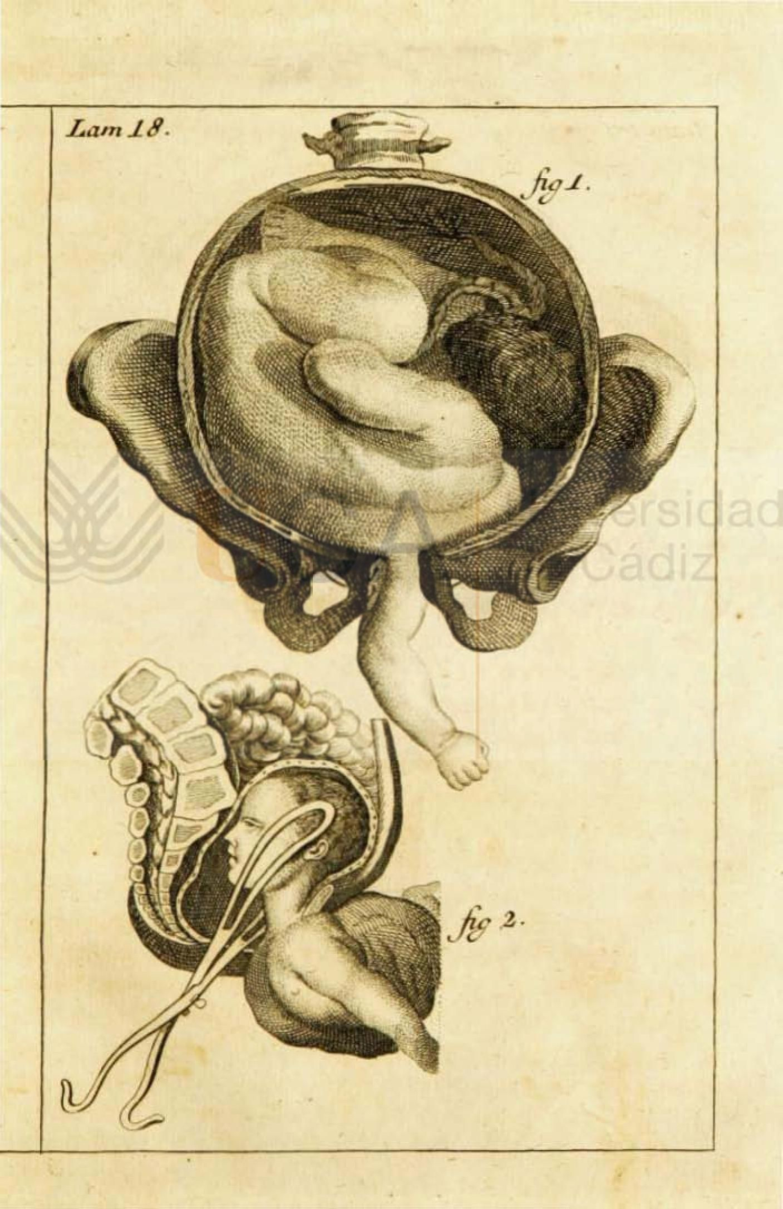 Otra lámina del libro de Juan de Navas.