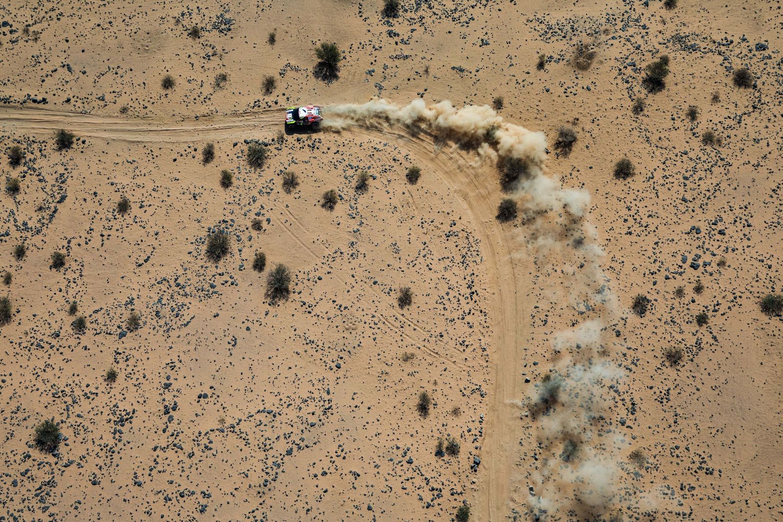 Las mejores fotos del Rally Dakar | undécima etapa
