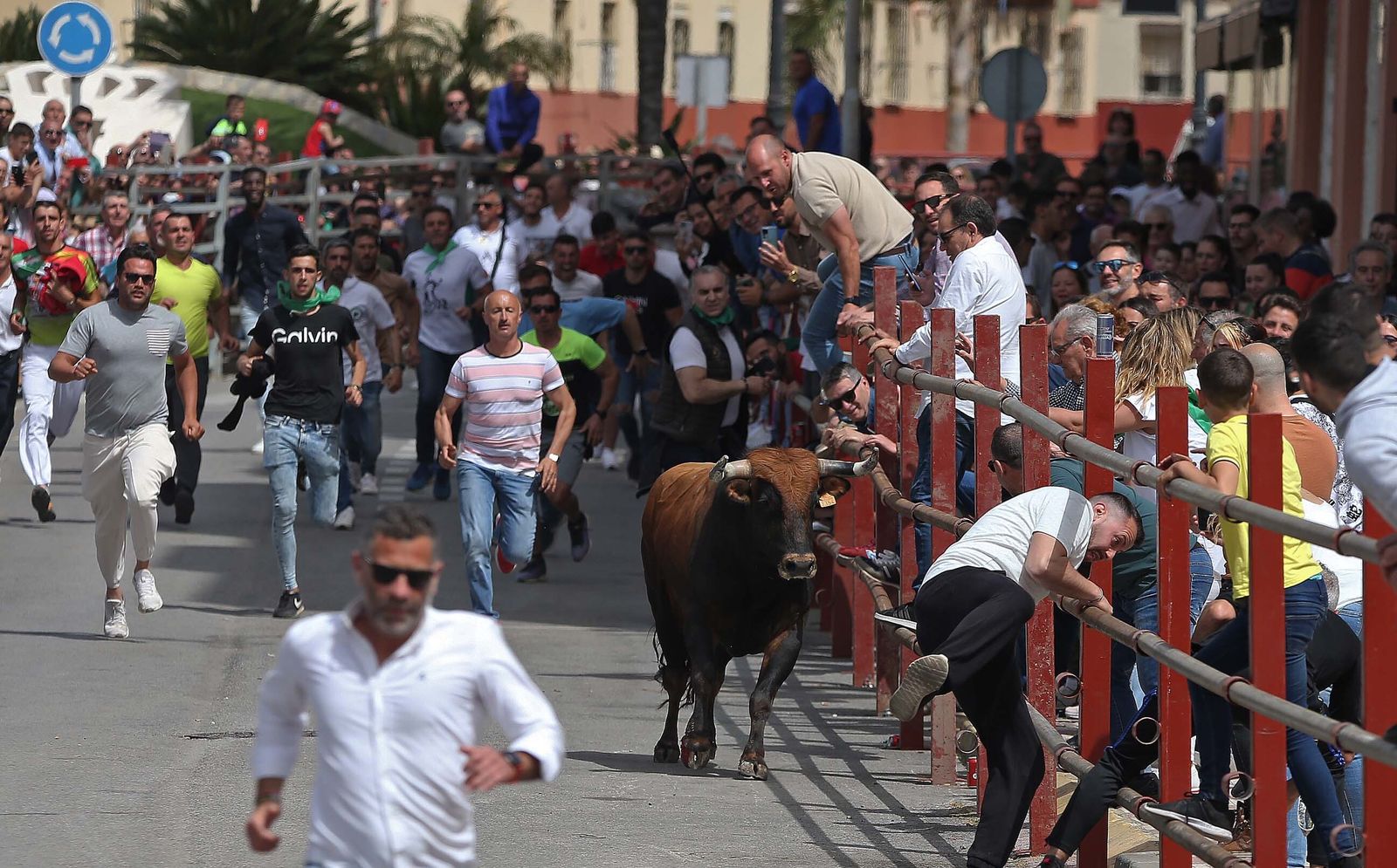 Fotos del Toro Embolao en Los Barrios