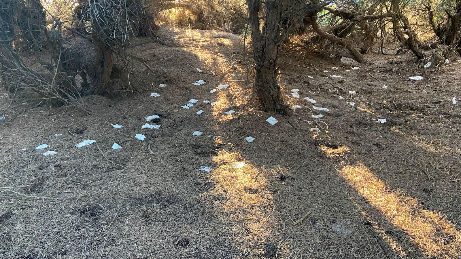 Vertido de residuos fuera de las zonas habilitadas junto a la playa de Los Lances.