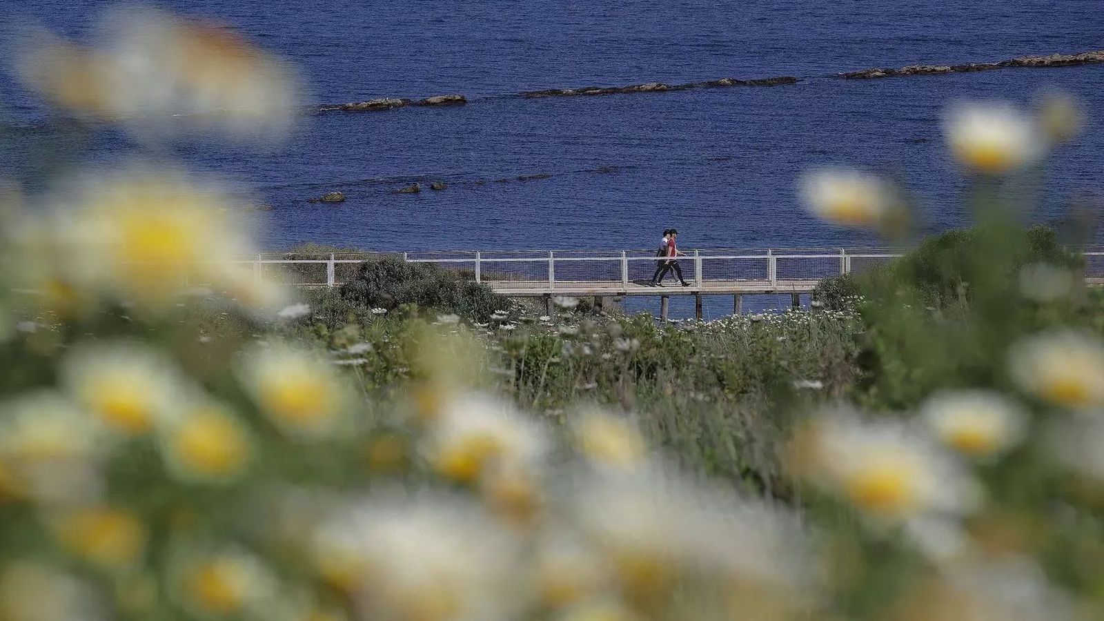 Una vista desde el Parque del Centenario de Algeciras.