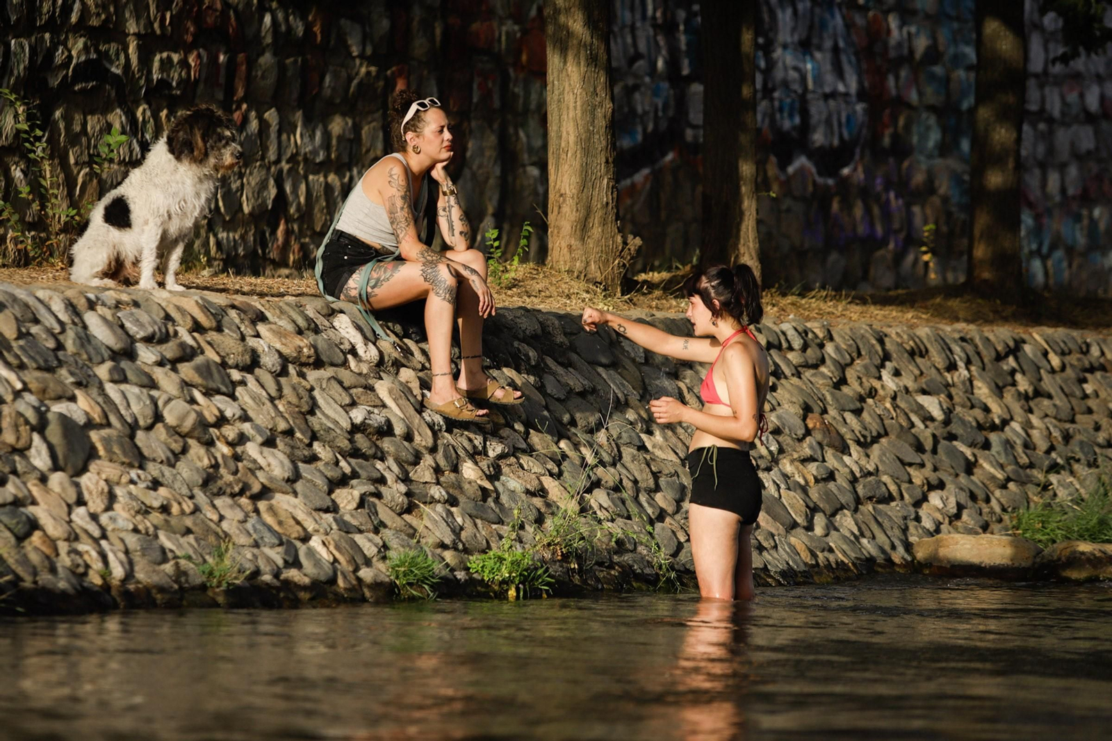 Las mejores imágenes del baño prohibido en Granada: el río Genil como refugio contra el calor