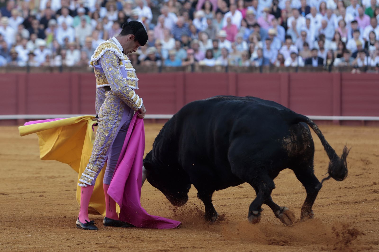 El triunfo de Castella en imágenes