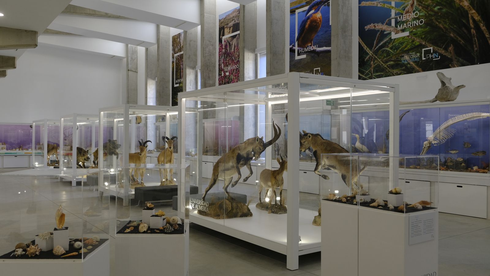 Las mejores imágenes del Pabellón de Historia Natural de la UAL