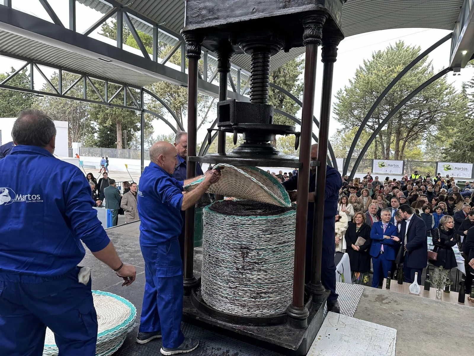En imágenes: así se ha vivido la Fiesta de la Aceituna de Martos