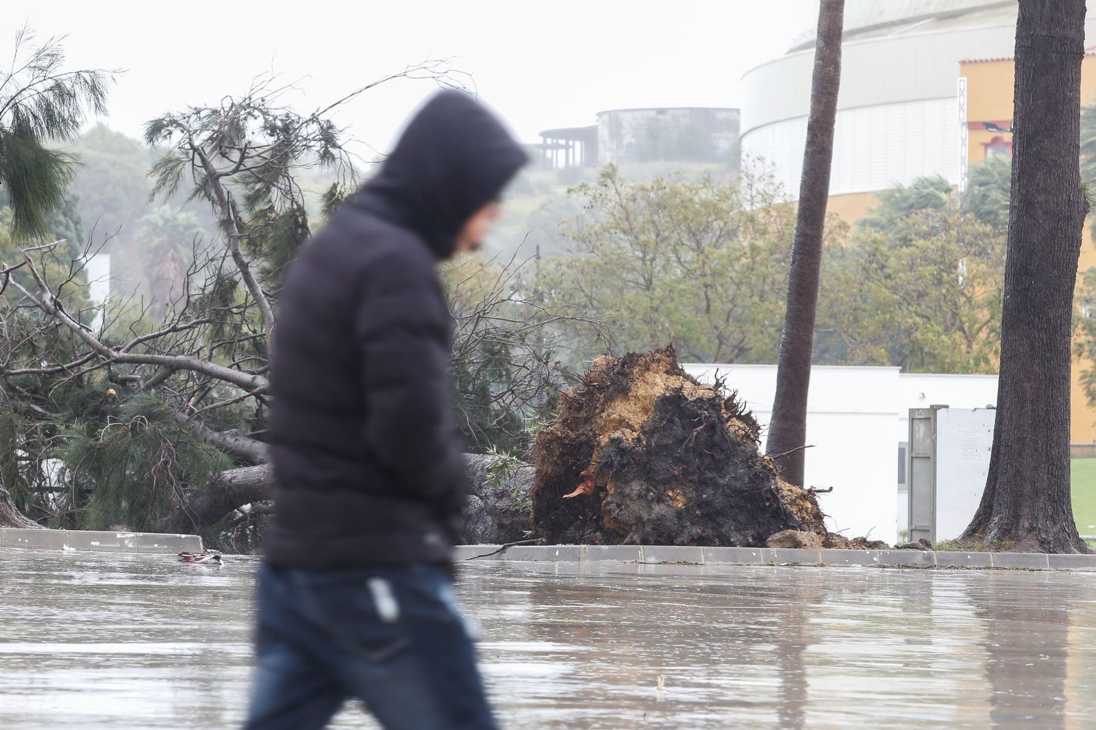Fotos del temporal de lluvia y viento por la borrasca Kristin en el Campo de Gibraltar