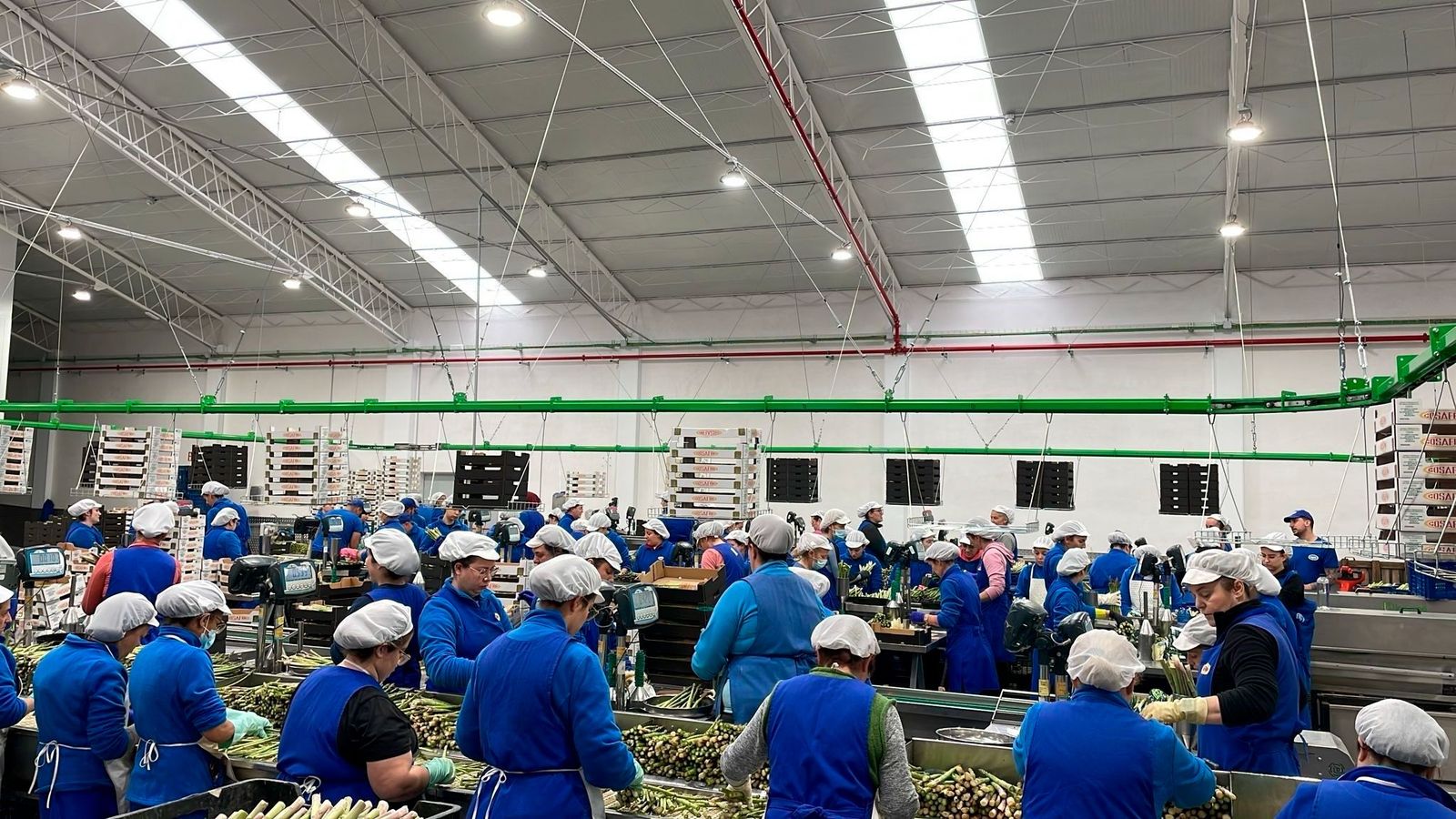 Trabajadores en la granadina Cosafra