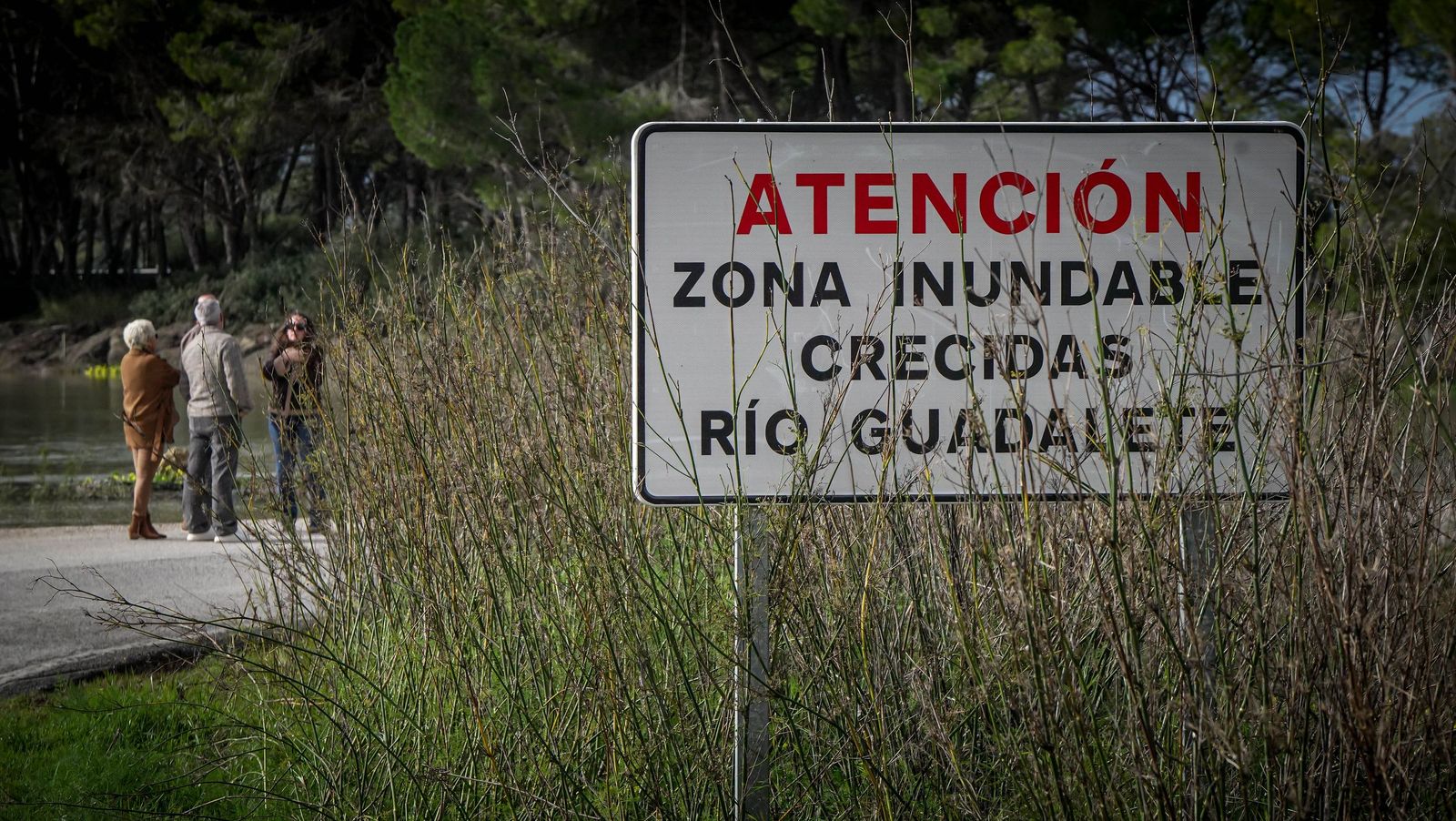 Un día tranquilo en el rio Guadalete, en imágenes