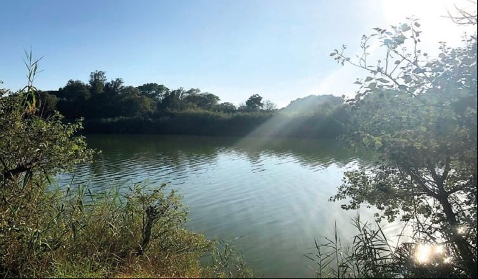 Vista del río Guadarranque.