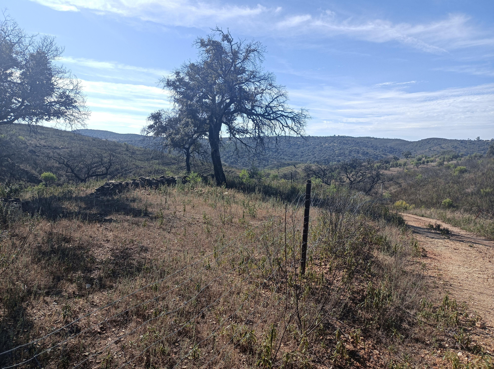 El camino a Juan Antón tiene menos vegetación y va en leve ascenso.