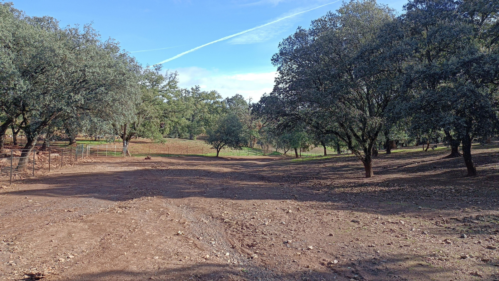 En la parte baja, llegamos a un claro.