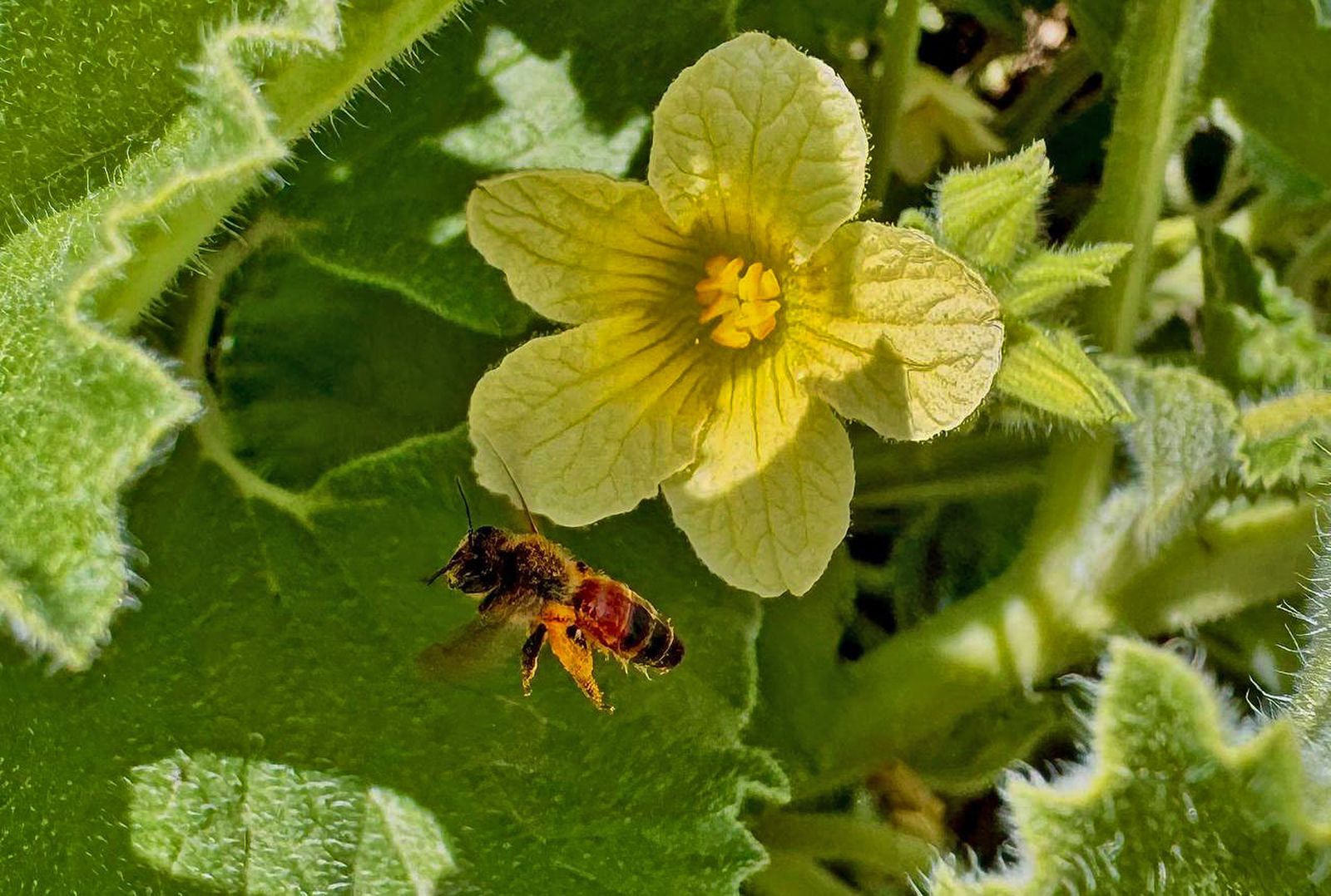 Las imágenes mas destacadas del miércoles 1 de mayo en Huelva