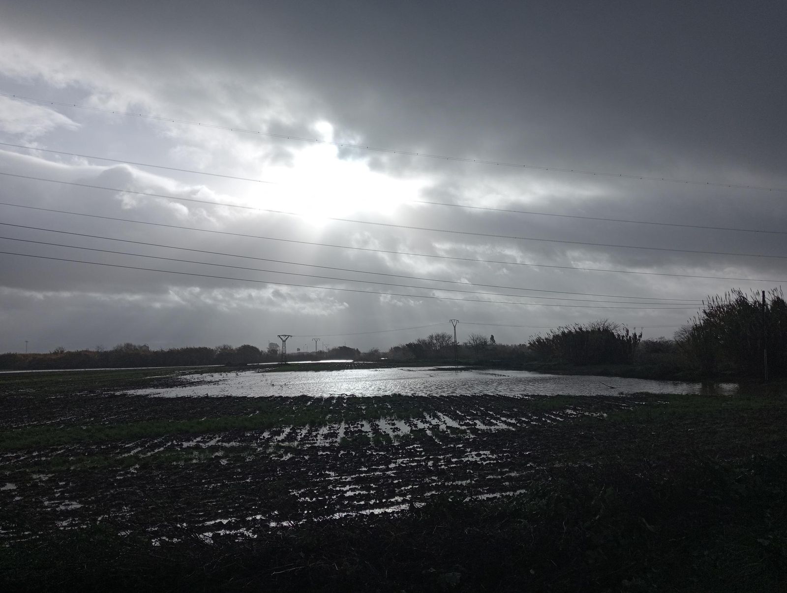 Las imágenes más destacadas del miércoles 22 de enero en Huelva