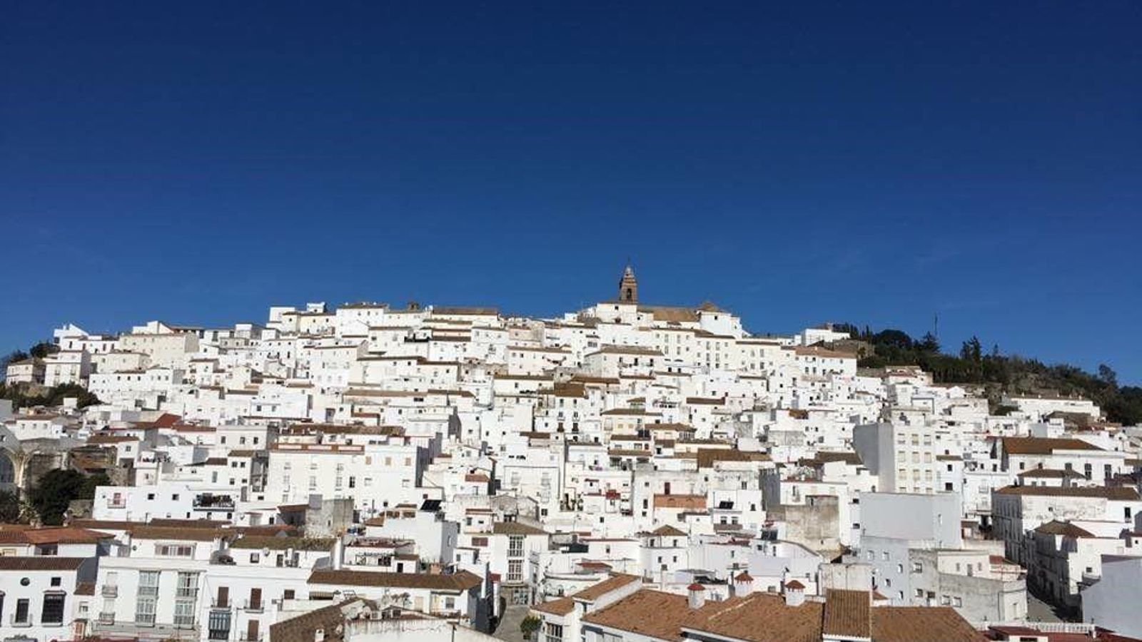 Alcalá de los Gazules