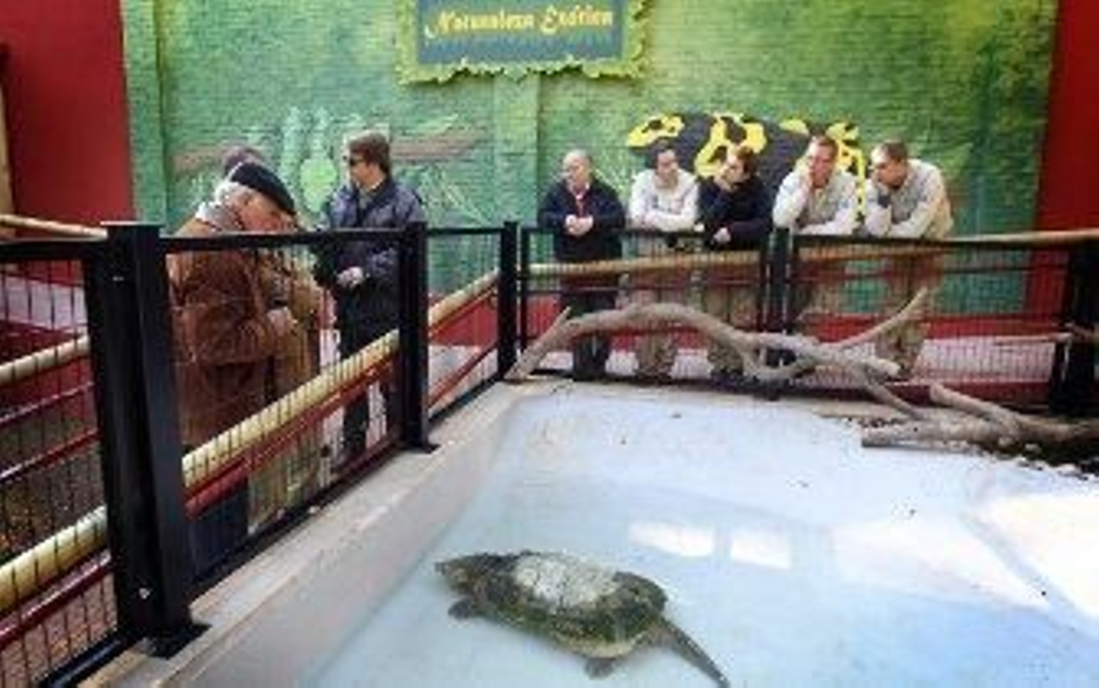 El Zoo abre el nuevo área de reptiles