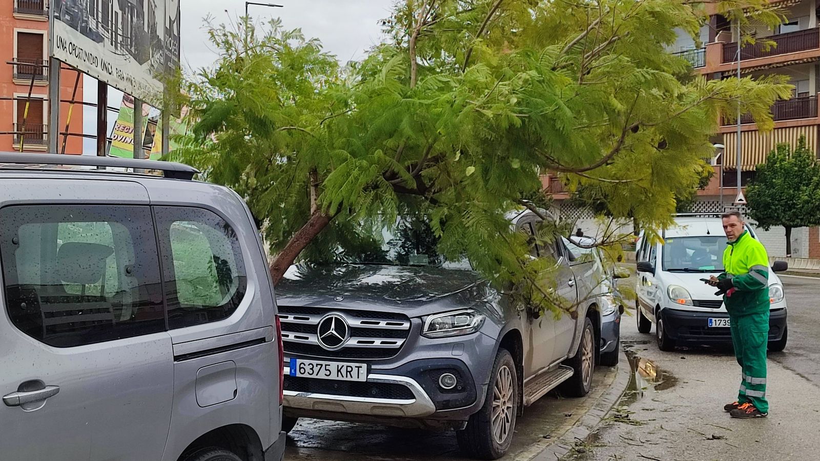 Un árbol de grandes dimensiones caído por el viento en Puente Genil.